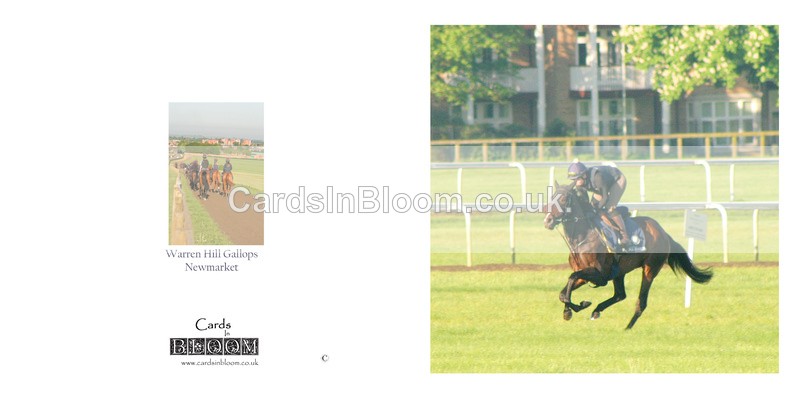06 Warren Hill Gallops - NEWMARKET CARDS