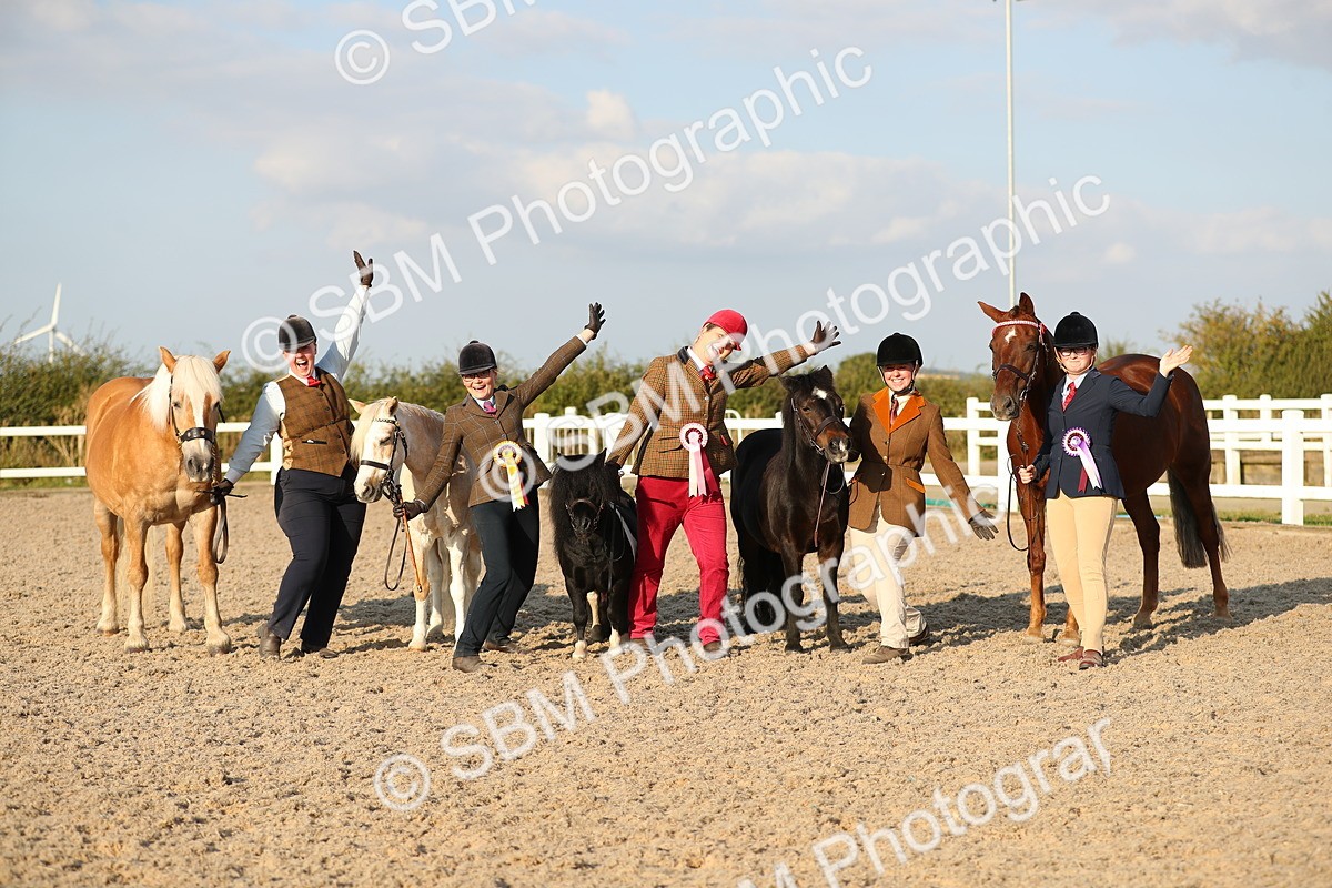 SBM_09178 - Class 29 IH Veteran Pony