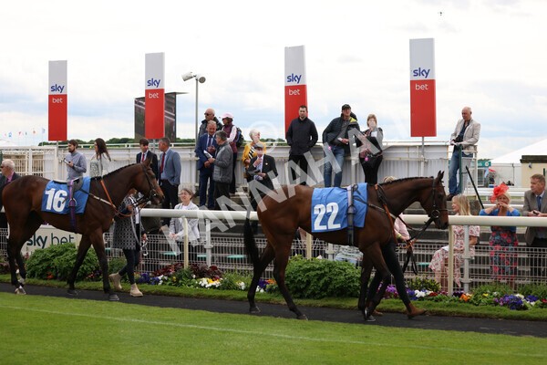 yr22052022r3-6 - Race 3: 4:35pm Sky Bet Sunday Series Dash