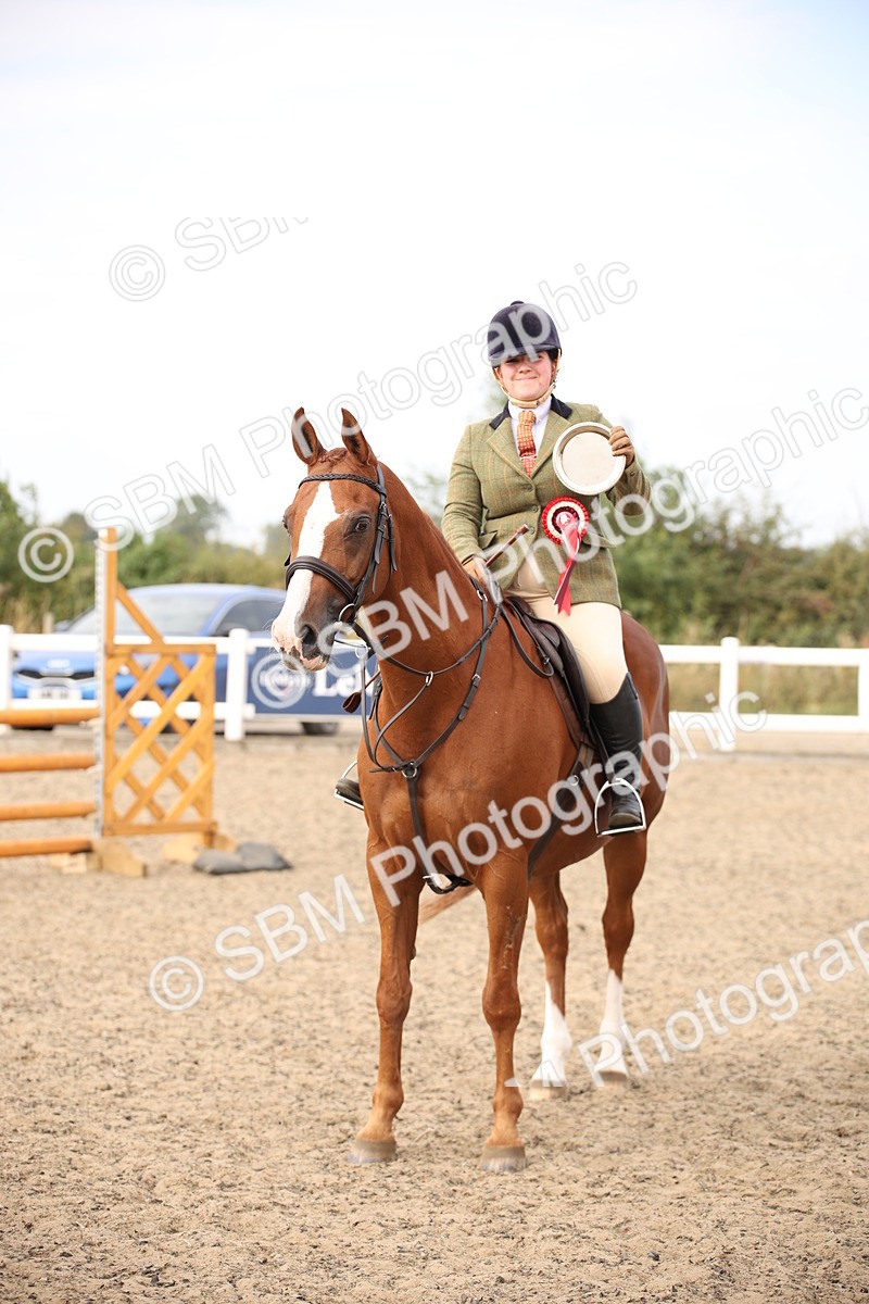 SBM_17325 - Class 410a - Wor5king Veteran 90cm (15-19)