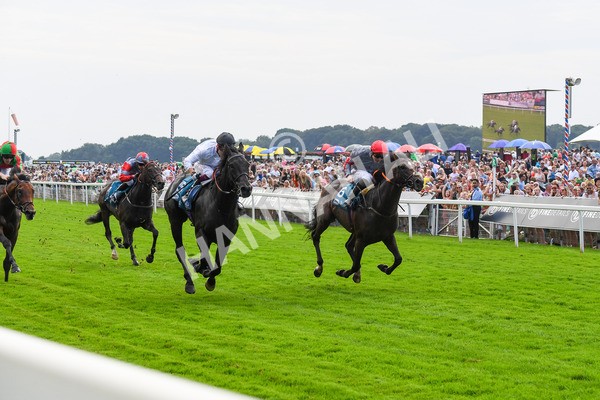100923-Race 2-Florida-0521 - Race 2 2.15pm John And Judith Marshall Memorial Handicap