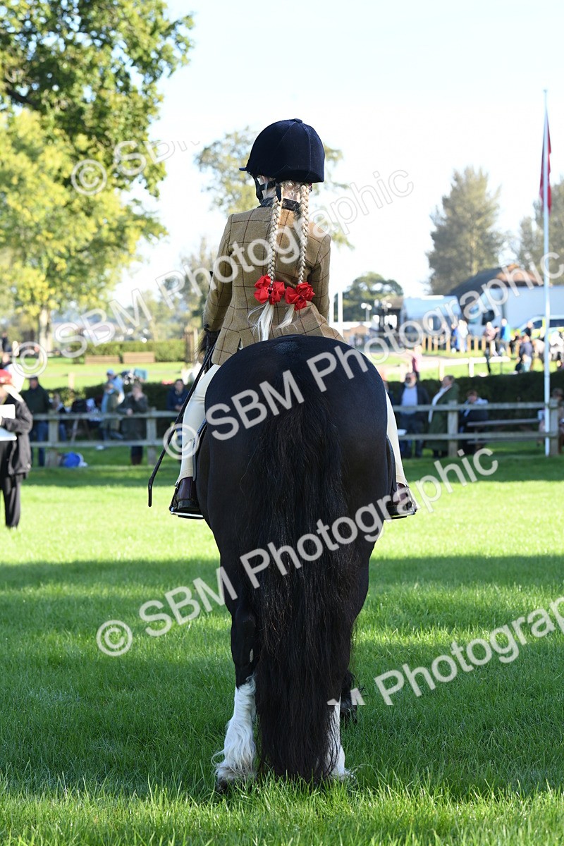 SBM_34066 - S16 - Condition & Turnout - Ridden
