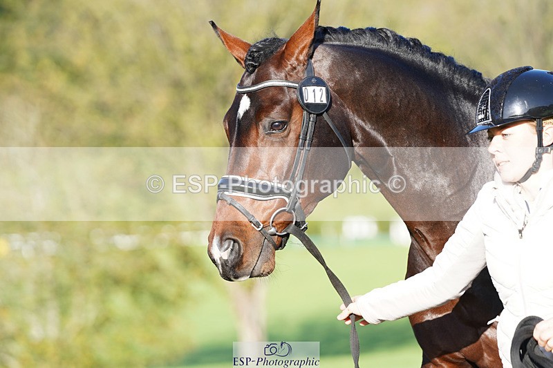 241026-101712-11751 - 012-Mollie.Summerland-SKITTEL.D'EKWI