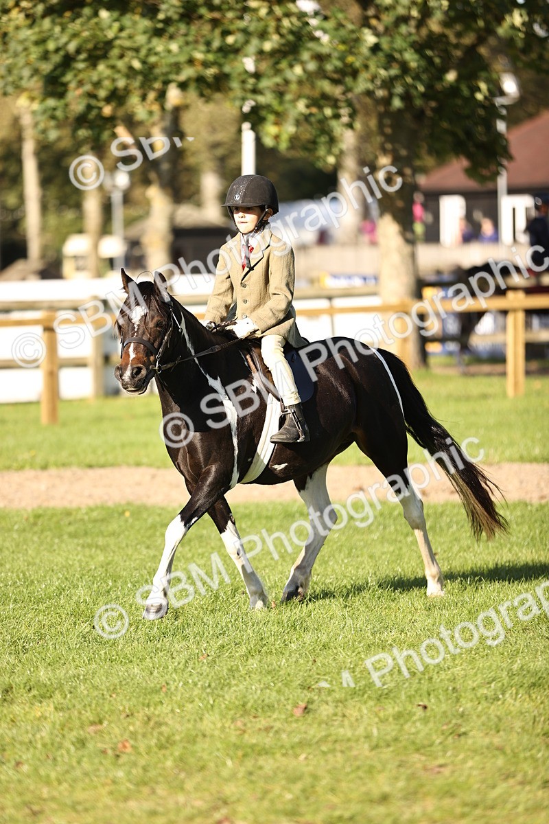 SBM_29415 - S7 - Novice & Newcomers Ridden Pony