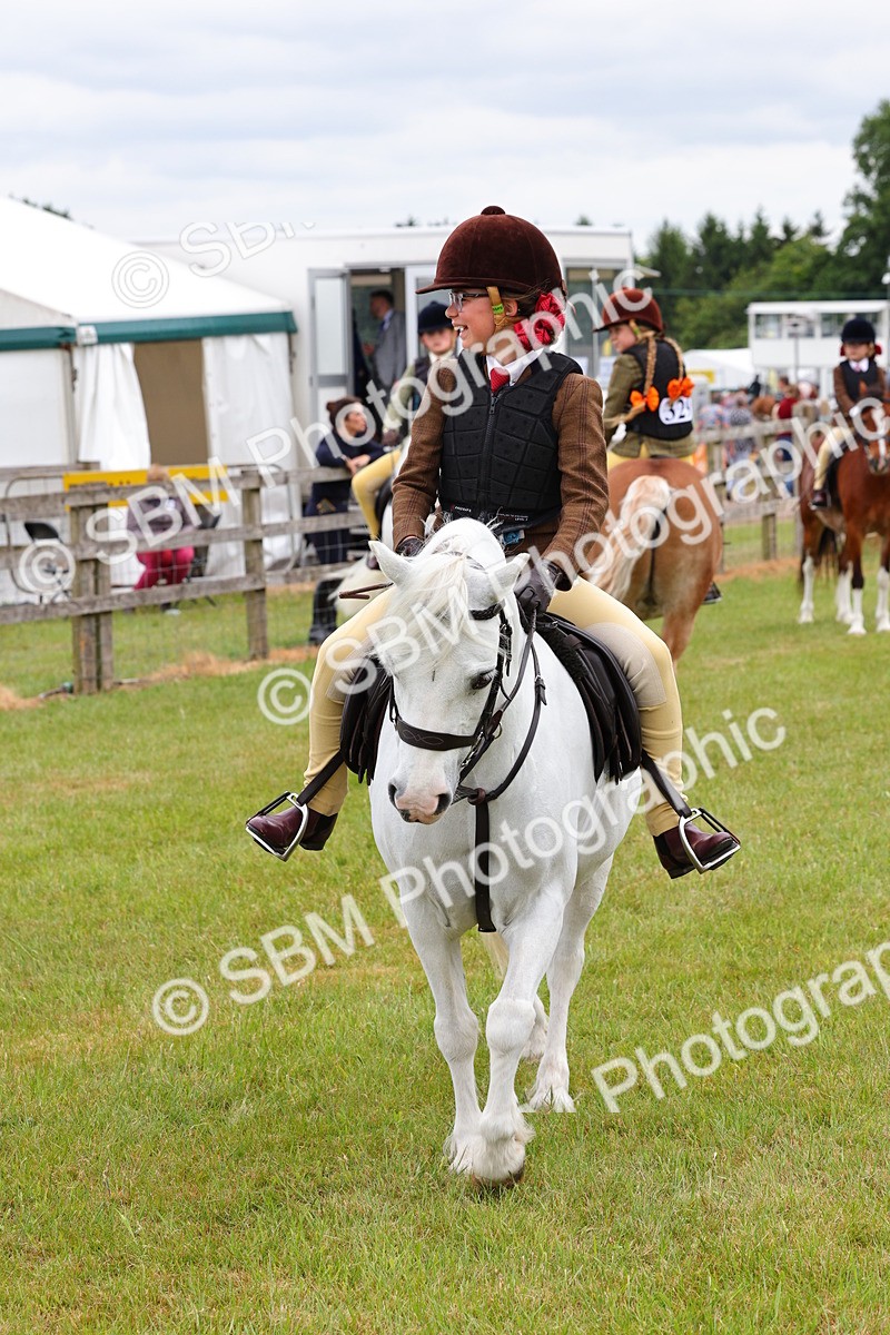 SBM_08822 - Class 42-43 - LIHS BSPS Heritage Working Sports Pony