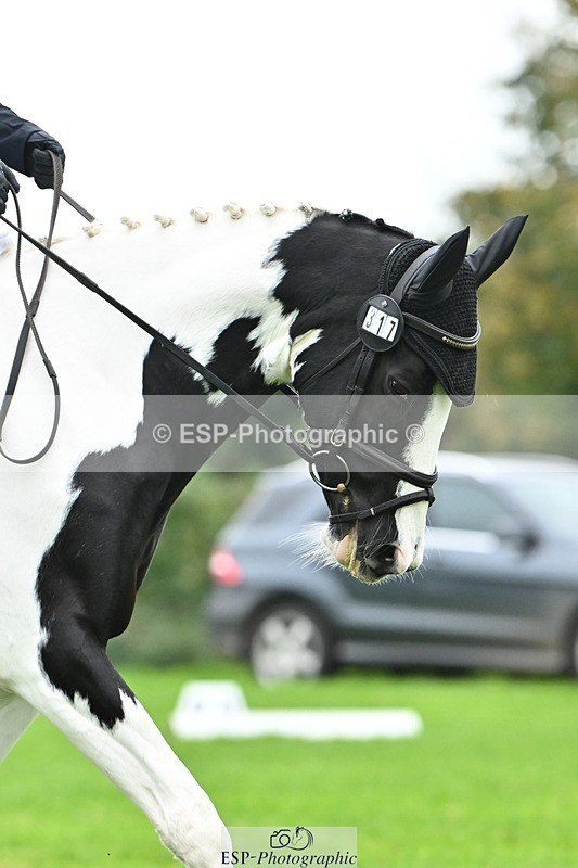 241024-113759-02432 - 317-Maddy.Greenaway-SPECIAL.VAN.DE.SMEDENPOORT