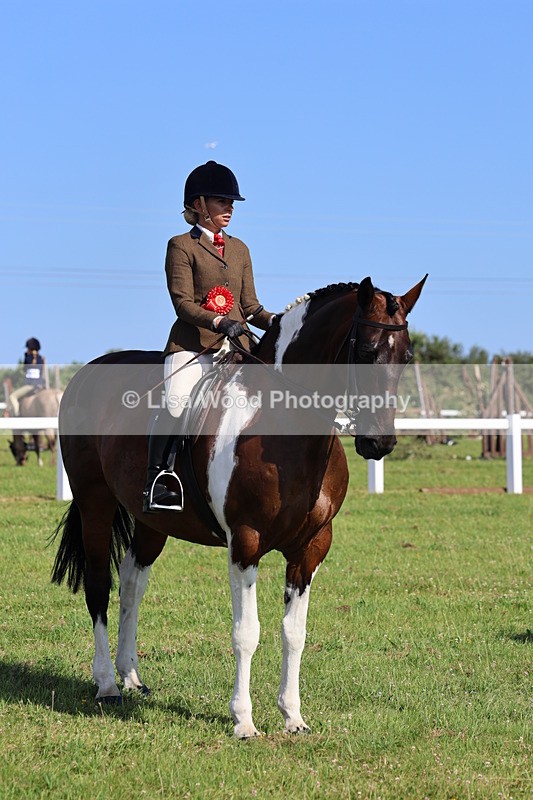 IMG_1670 - Skewbald and Piebald Ridden Championship