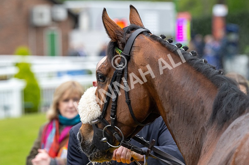 040524-Race 2-Wobwobwob-4141 - Race 2