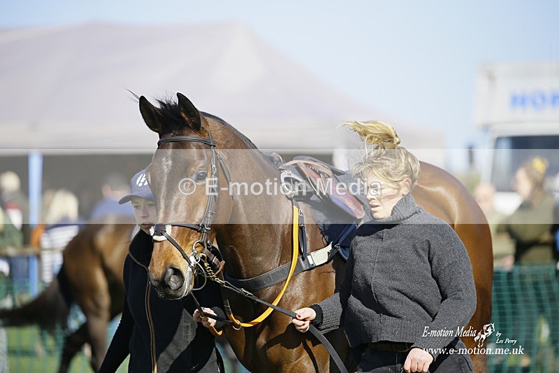 PtP 190322 642 - Wilton Hunt PtP Milborne St Andrew 19/03/22