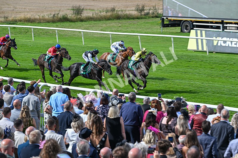 050926-Race 2-This Moment-2781 - Race 2 2.05pm JW4X4 Northallerton Nursery Handicap