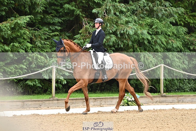 240811-113741-05219 - 208-Tom.Carter-Rubin.Regal