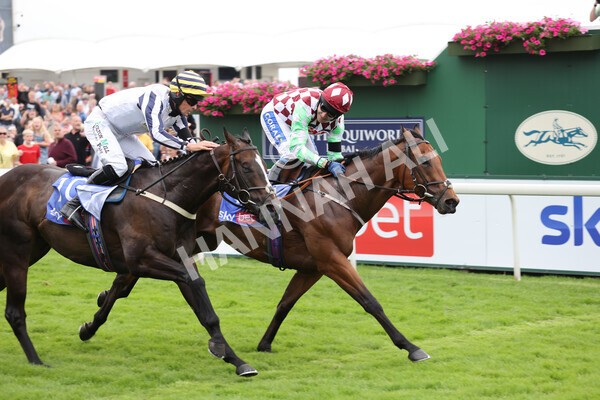 yr24072021r1-79 - Race 1 2.05pm Sky Bet Jump Jockeys Nunthorpe