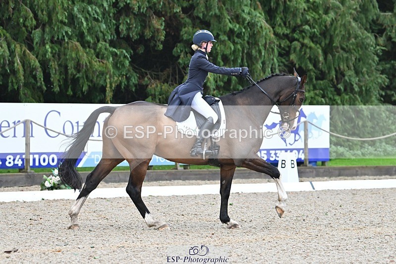 231019-104905-01980 - 103-BEECH.HILL.KIKO.CLOVER-Harriet.Blair-DR