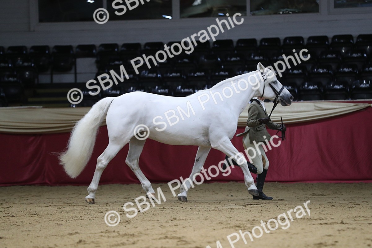 SBM_04406 - Class 7R Regional - IH Diamond