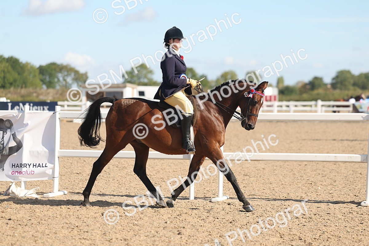 SBM_12441 - Class 304 - Ridden part Bred Horse Pony