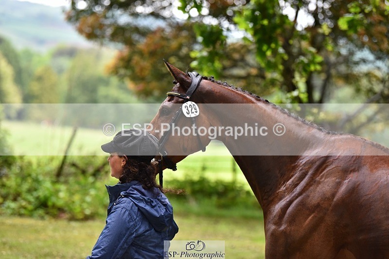 240522-152400-00311 - 329-GLOBAL_AMARETTO-Charlotte_Agnew