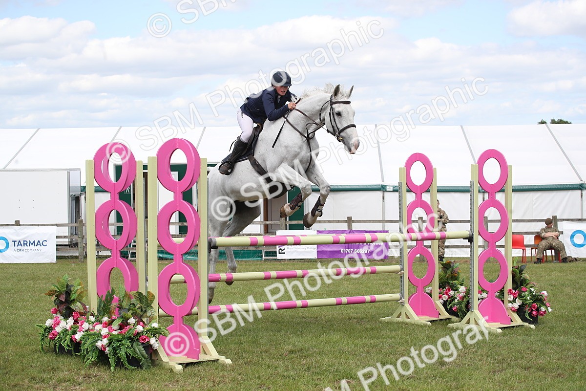 SBM_17440 - Class 208 - Senior Foxhunter 1.20m Open