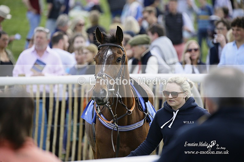 PtP 180422 37 - Old Berkshire PtP Lockinge 18/04/22