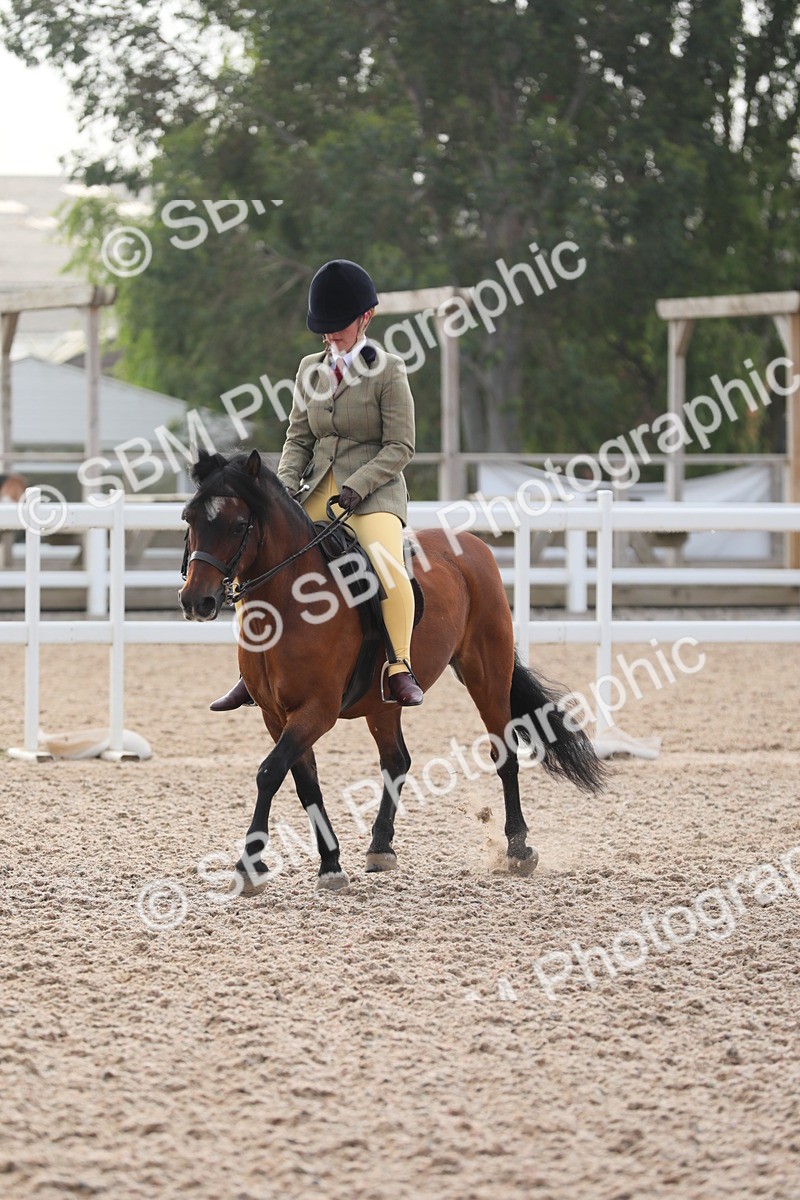 SBM_09641 - Class 301 Ridden M&M -Small Breeds