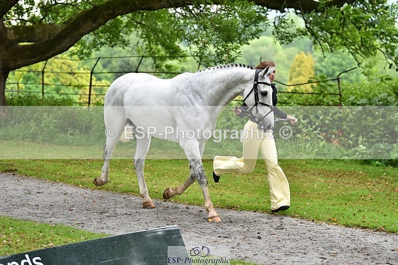 240522-161546-00821 - 163-BRECHFA_BARUCH-Harriet_Beeby_Wynn