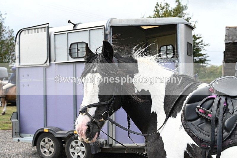 WJ7_6720 - Berks & Bucks at Blandy’s Farm 31-08-25