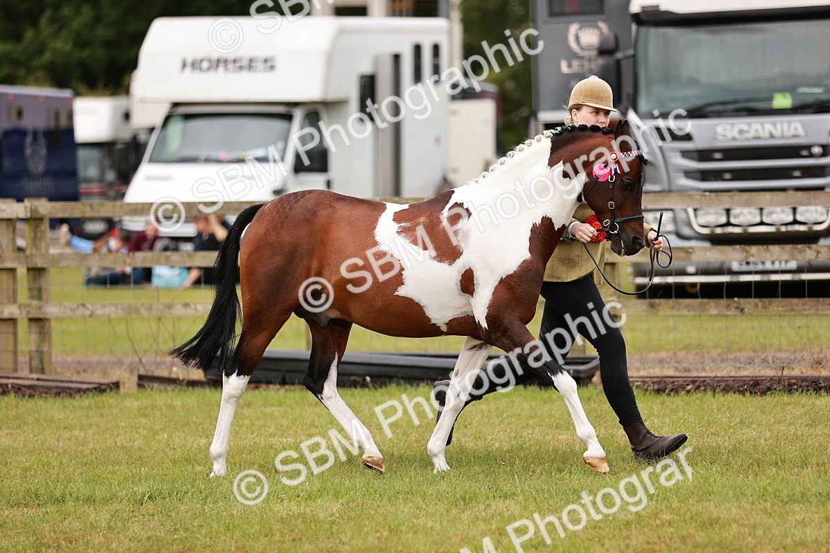 SBM_04743 - Class 5-8 - BSPA In hand