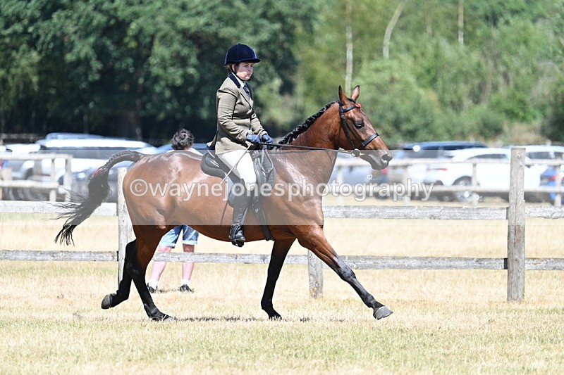 WJ7_3141 - Class 7 Riding Club Show Horse