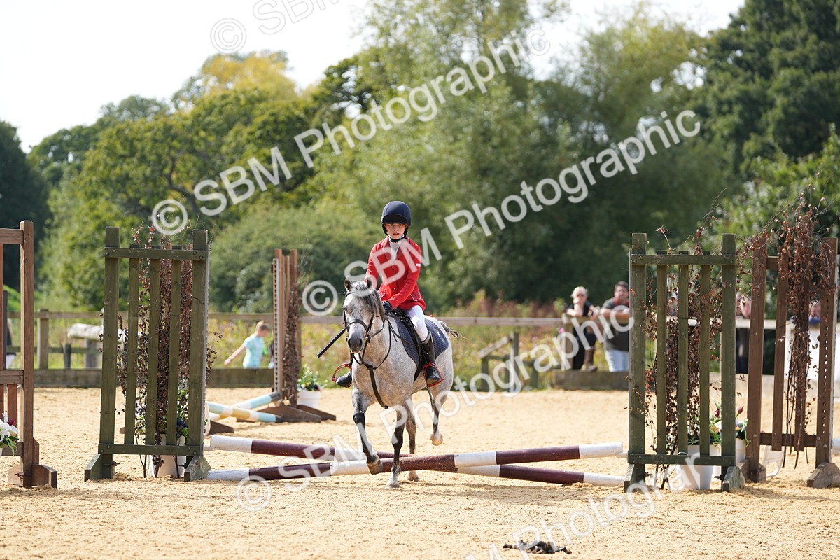 SBM_65761 - J2 - Mini Tour Junior Pony 30cm Championship