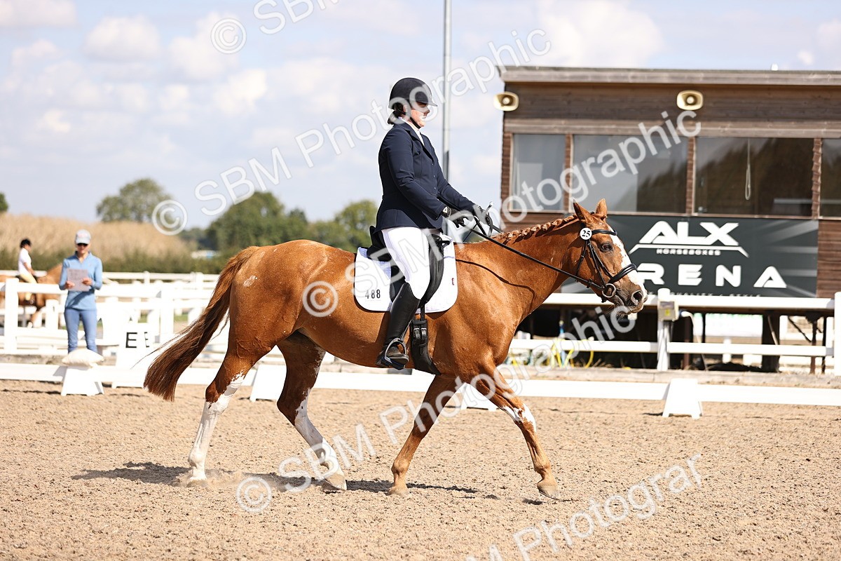 SBM_03548 - CLass 35 Intro 3