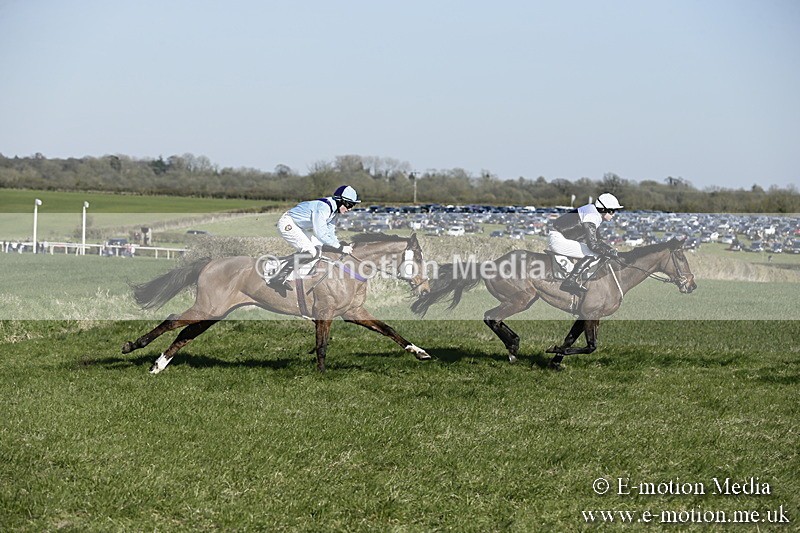 PtP 250317 303 - V.W.H. Hunt Point-to-Point Siddington 25/03/17