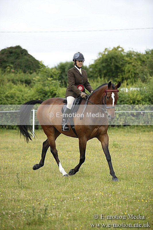 BVR160717-326 - Ring 1 BVRC Show 16/07/17