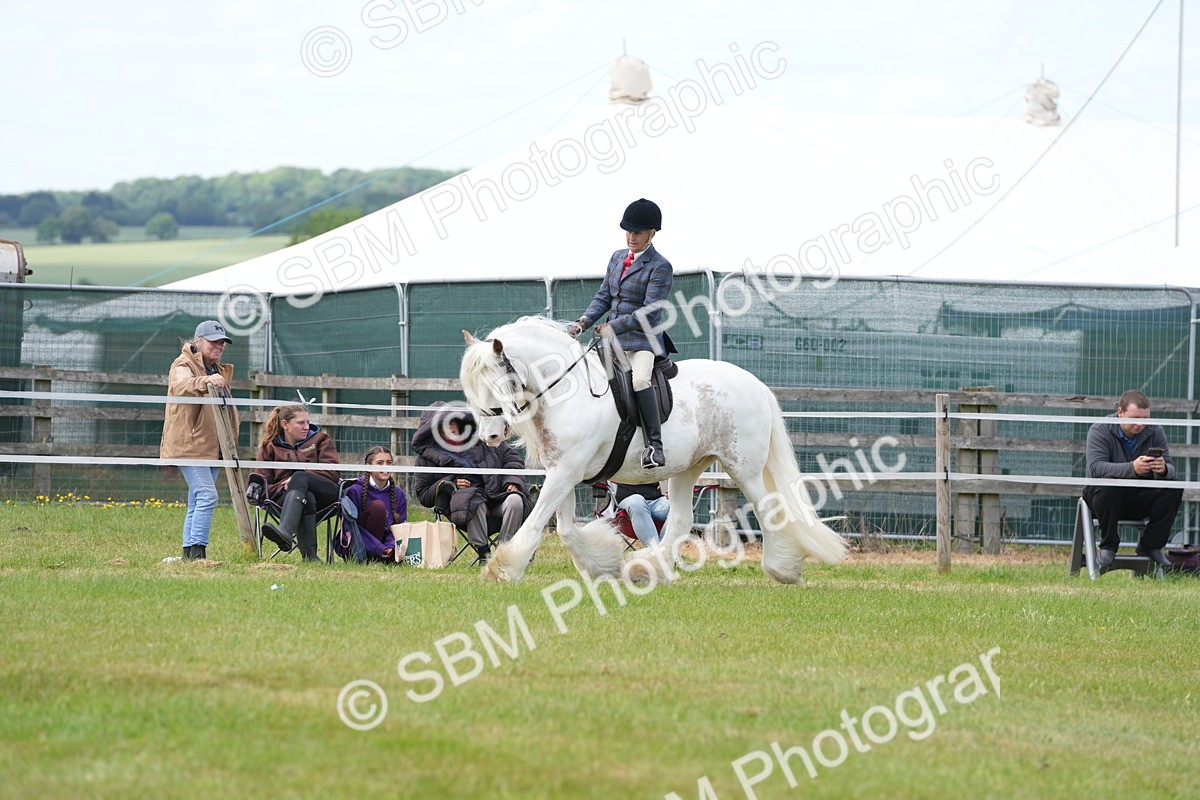 SBM_17188 - Class 107-108 - LIHS BSPS Performance Coloured Horse Pony