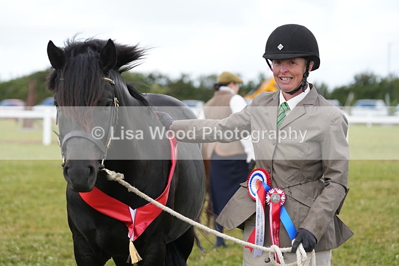 DSC05992 - NPS M&M In Hand Championship