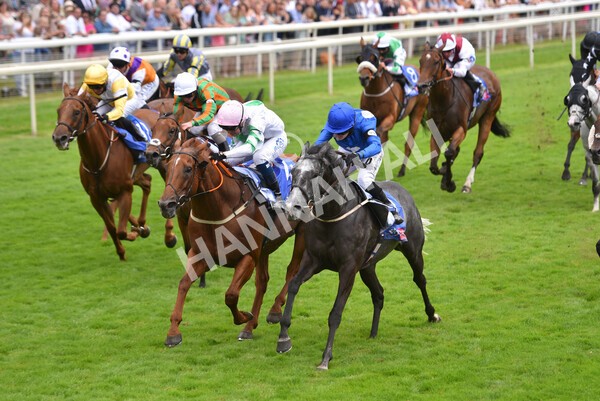 yr24072021r2-17 - Race 2 2.40pm Sky Bet Dash