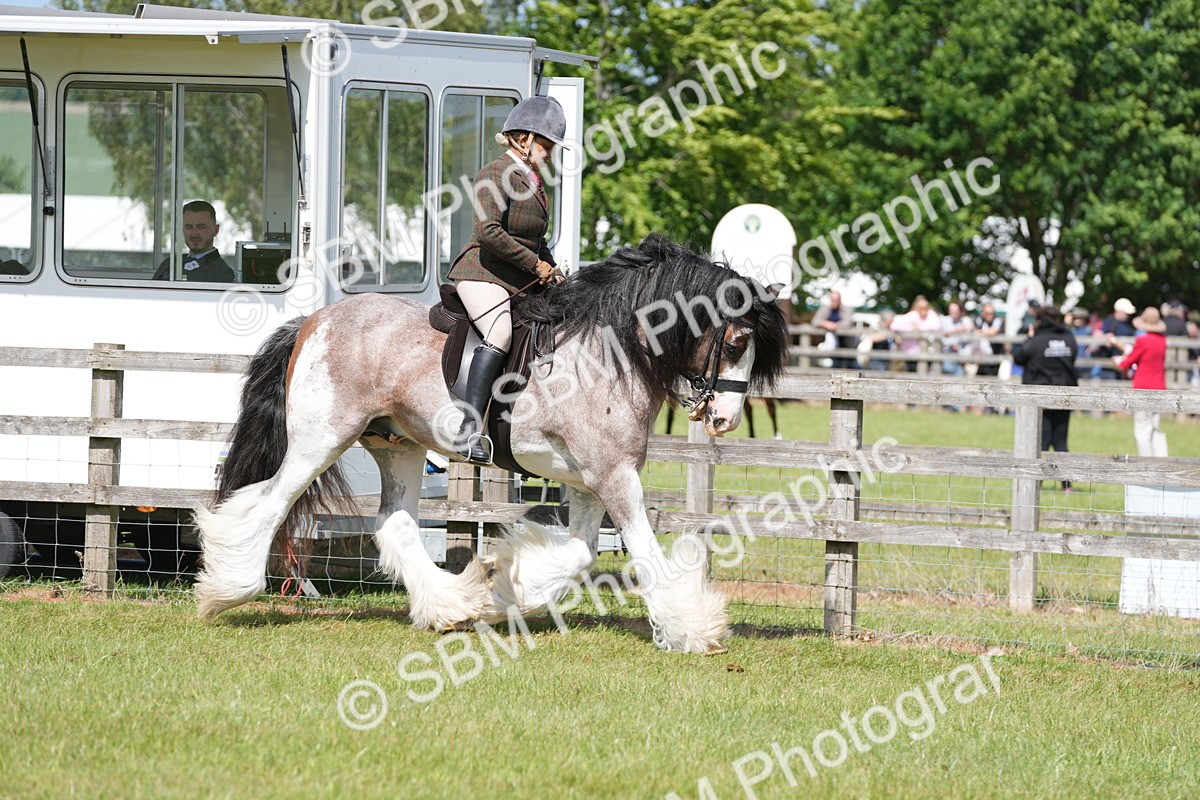 SBM_17106 - Class 107-108 - LIHS BSPS Performance Coloured Horse Pony