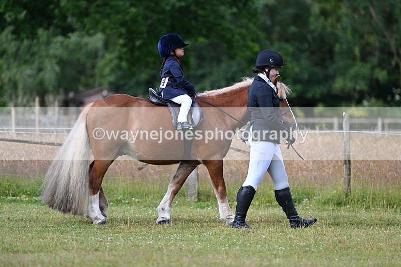 WJ7_4455 - Class 1 Lead Rein Pony