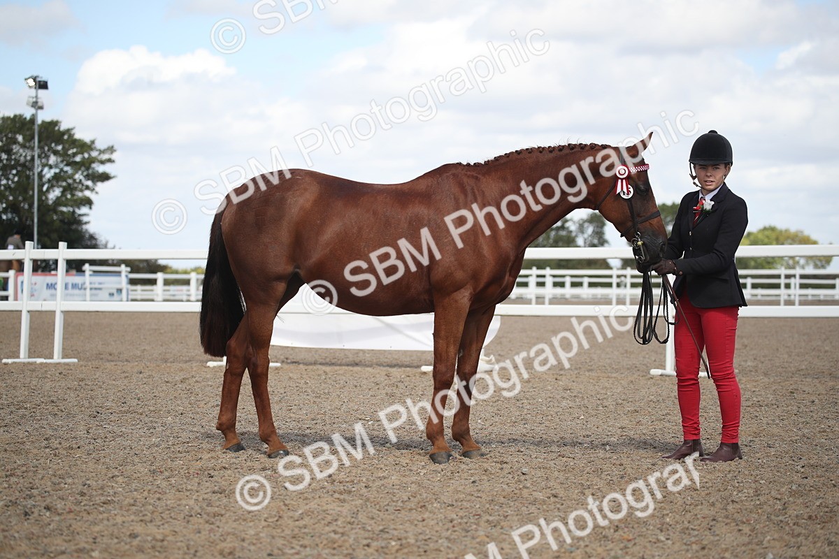 SBM_23121 - Class 606 - 2026 - Area - IH Pre Vet