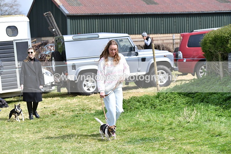 WJ5_0427 - Class 7 Best Terrier