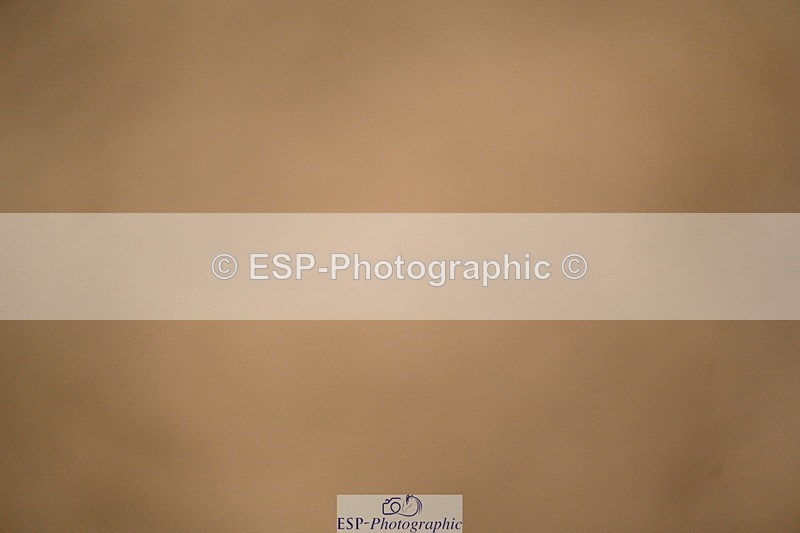251026A-173300-27136 - 80 AND 90 PRESENTATIONS
