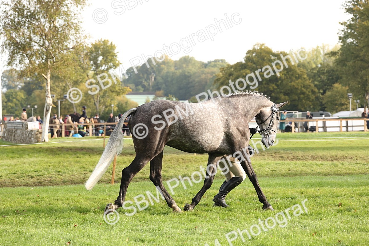 SBM_54674 - S53 - Hunter In Hand