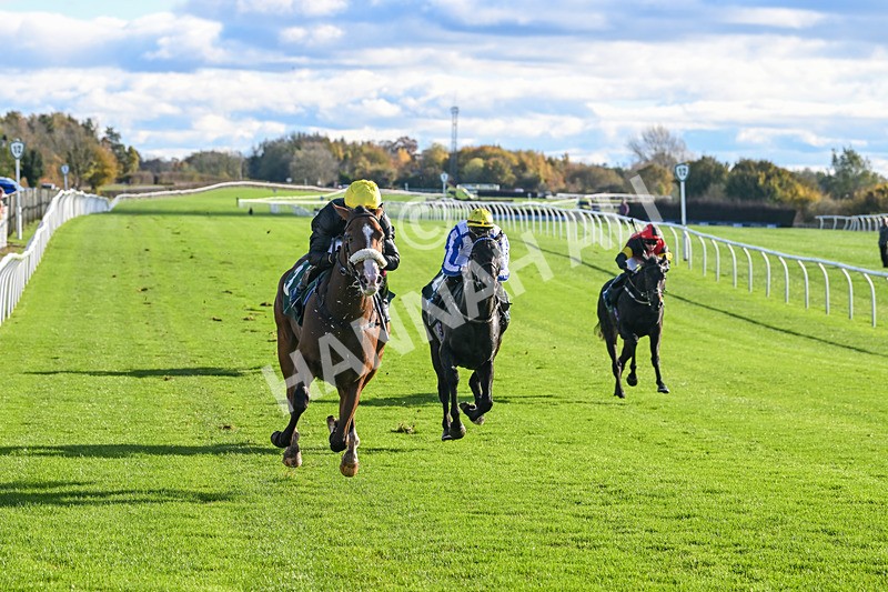 291024-Race 1-Hi Lord-5664 - Race 1