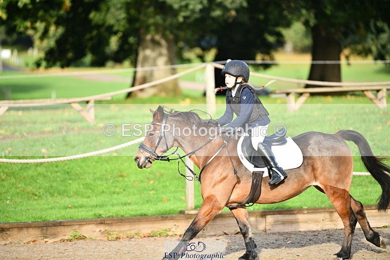 251004A-091711-00127 - Classes 1-2-3 40cm