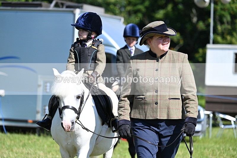 WJ7_0717 - Class 8 First Rally Pony