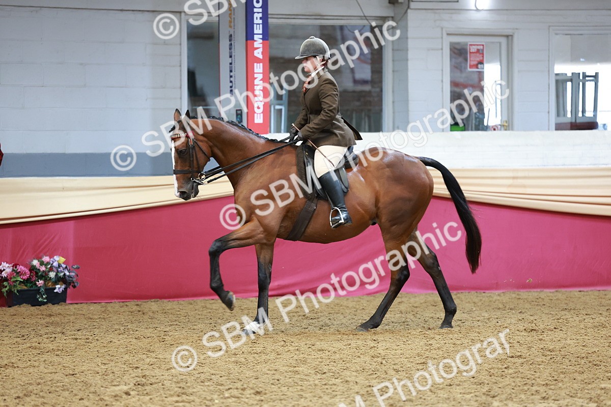 SBM_14919 - Class 108 - Ridden Retired Racehorse