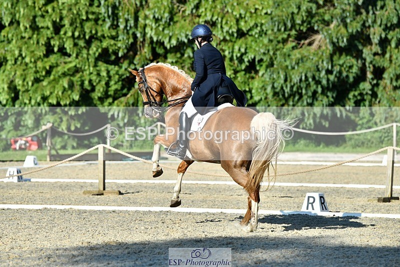 230623-181619-03204 - Cls 11 FEI PSG