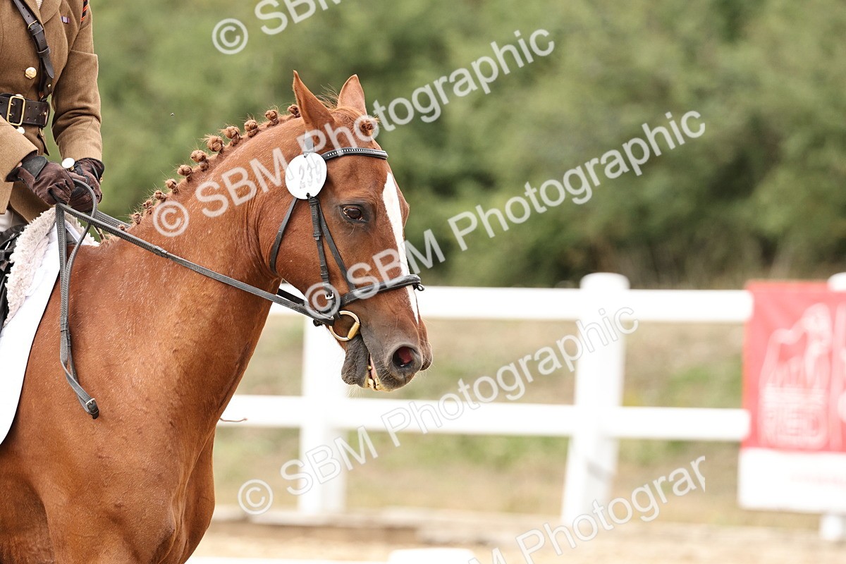 SBM_019592 - Class 18 - Elementary 5