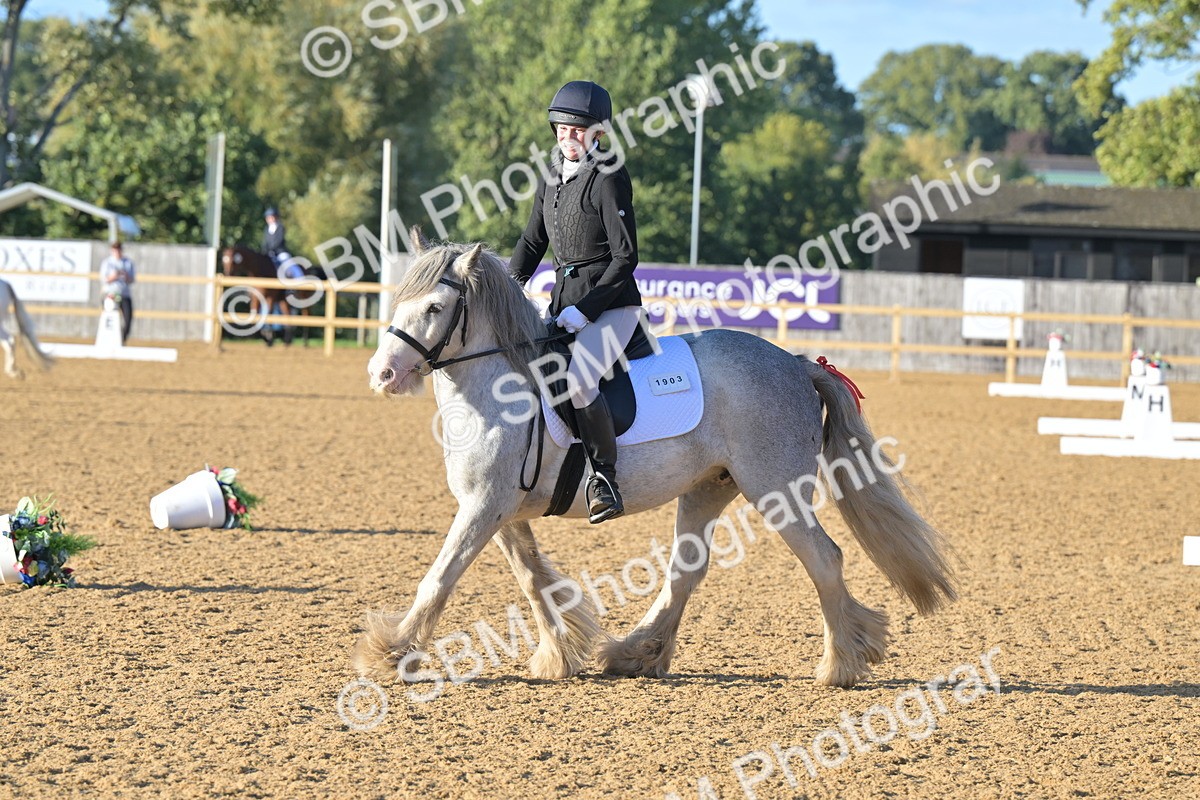 SBM_13134 - D3 - Small Tour Championship Intro 3