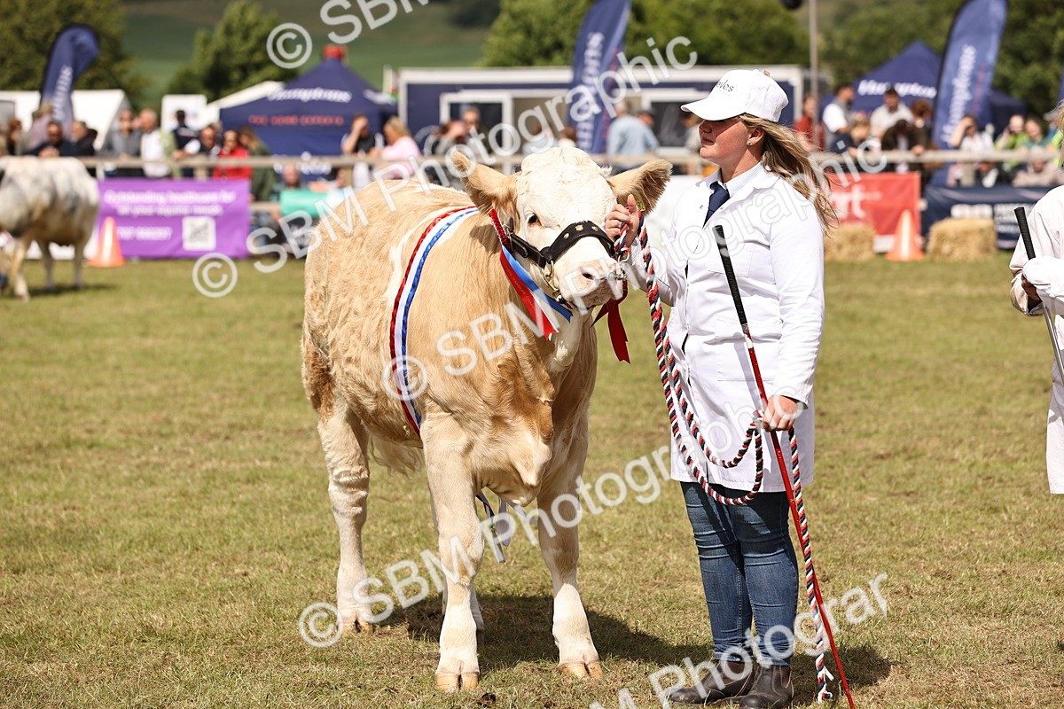 SBM_16939 - Grand Parade