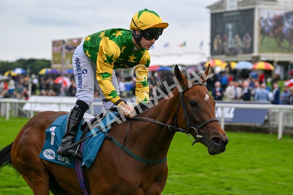 120724-Race 3-Royalty Bay-5994 - Race 3 3.15pm William Hill Keep Your Raceday Positive Irish EBF Fillies' Novice Stakes