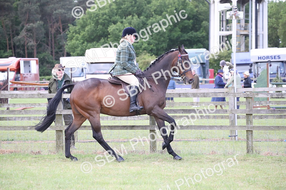 SBM_14175 - Class 113-114 - Retraining of Racehorses Ridden